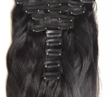 Wig 1